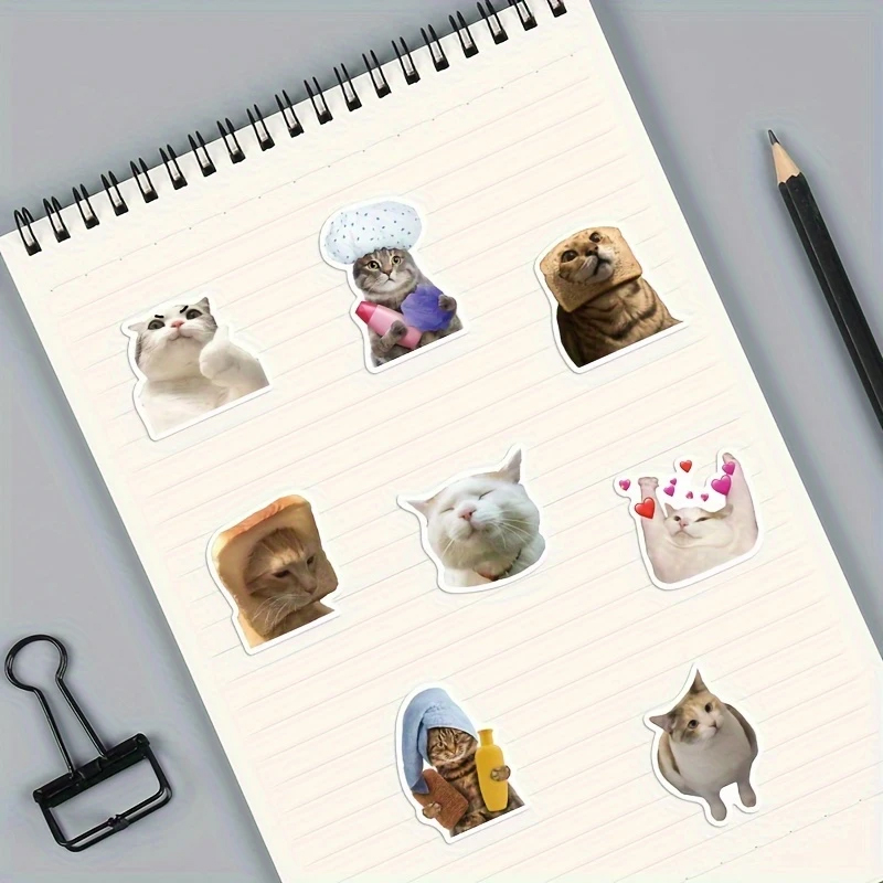 Katzen Sticker Set – 50 unterschiedliche matte Vinylmotive
