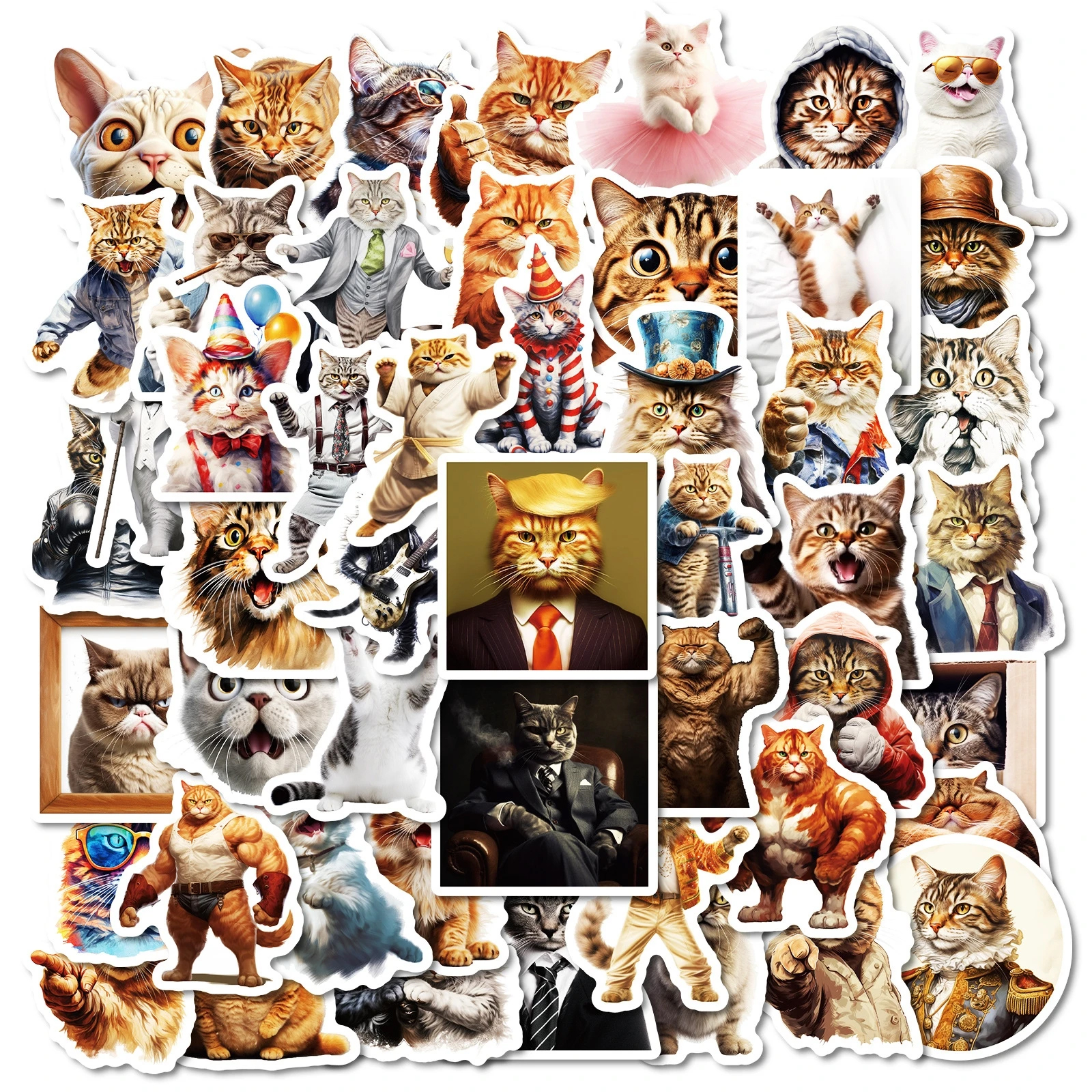 Katzen Sticker Set – 50 matte Vinyl-Aufkleber mit Katzenmotiven