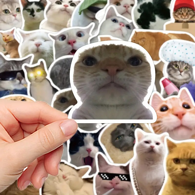 Katzen Sticker Set – 50 unterschiedliche matte Vinylmotive