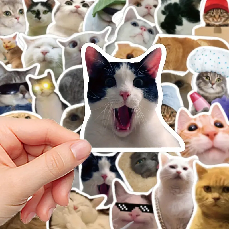 Katzen Sticker Set – 50 unterschiedliche matte Vinylmotive