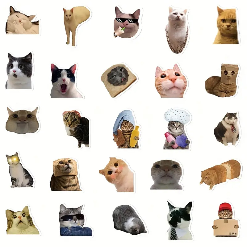 Katzen Sticker Set – 50 unterschiedliche matte Vinylmotive