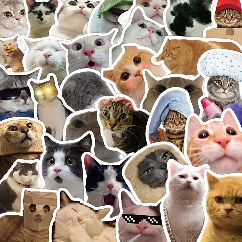 Katzen Sticker Set – 50 unterschiedliche matte Vinylmotive