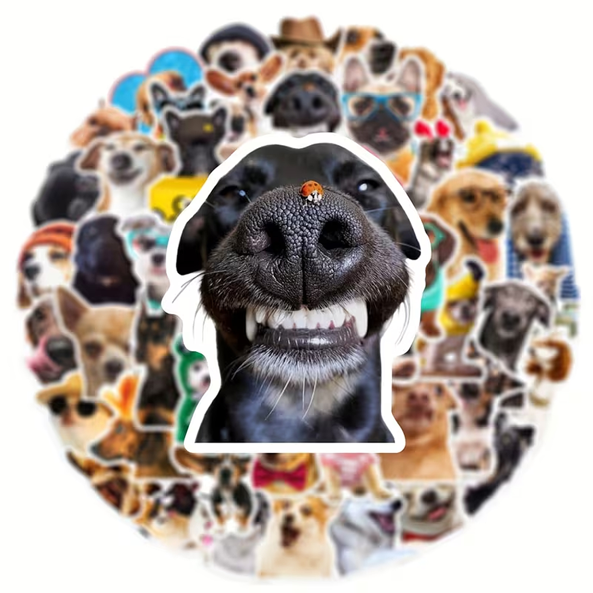 Lustige Hunde Sticker Set – 50 matte Vinyl-Sticker mit Hundemotiven
